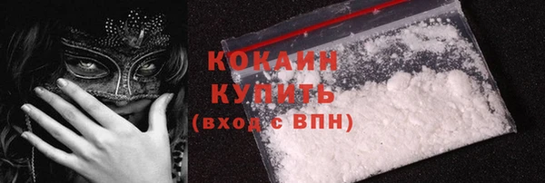 гидра Богородицк