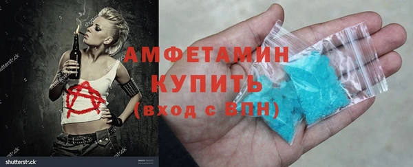 гидра Богородицк