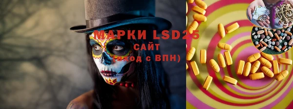 стаф Богданович