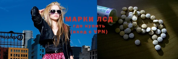 гидра Богородицк