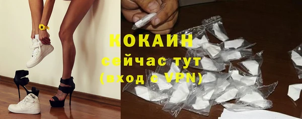 стаф Богданович