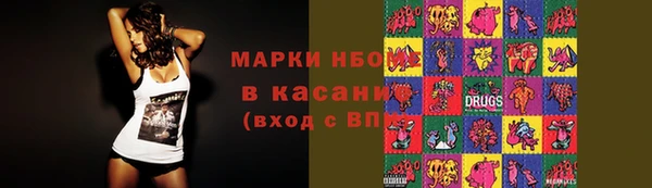 стаф Богданович