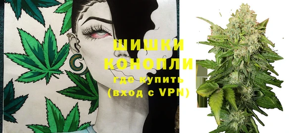 гидра Богородицк
