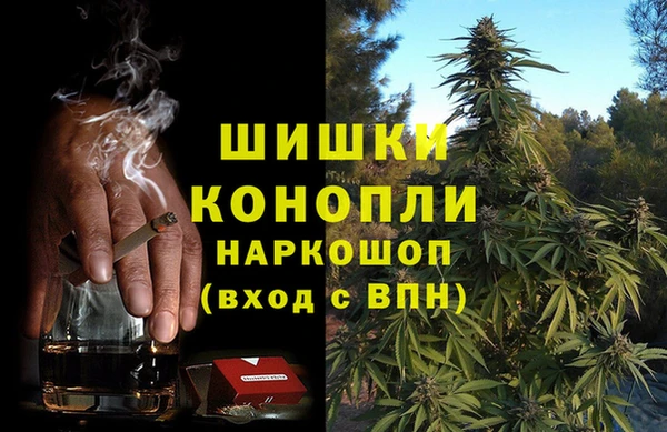 гидра Богородицк