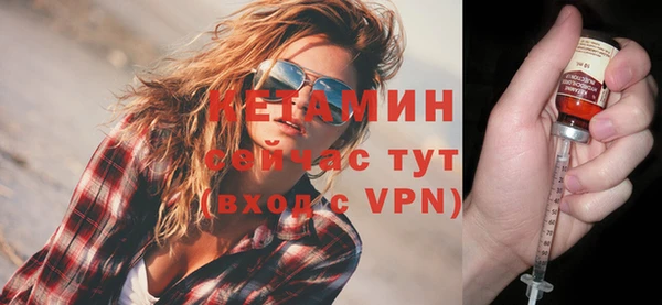 стаф Богданович