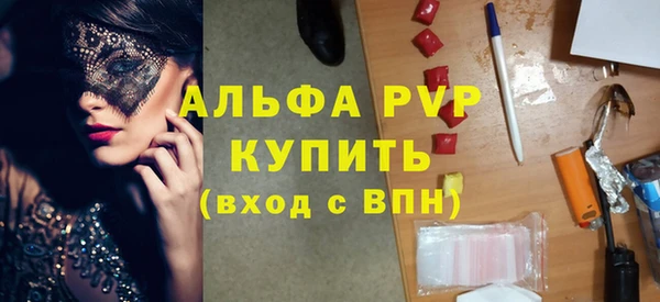 гидра Богородицк