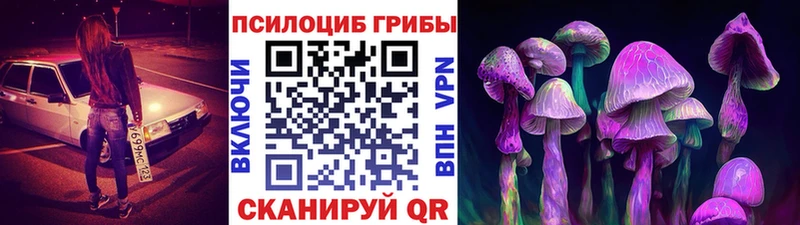 цена наркотик  Моршанск  мега ССЫЛКА  Галлюциногенные грибы мухоморы 